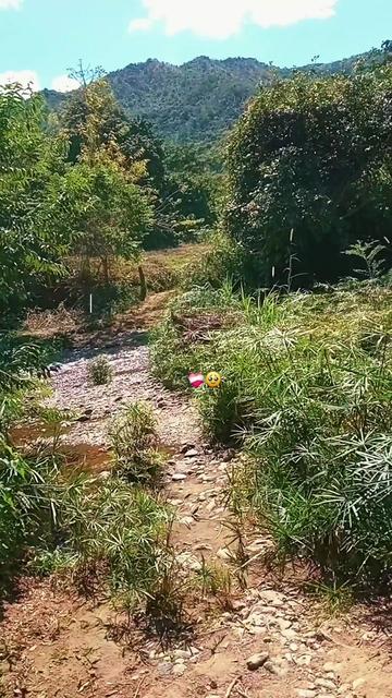@LlaneritaOficial