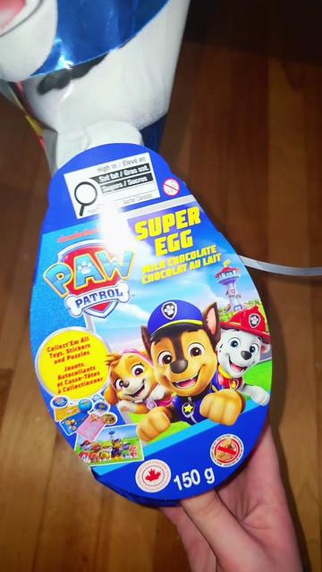 @Jester 🎭 (Paw Patrol No1 Fan)