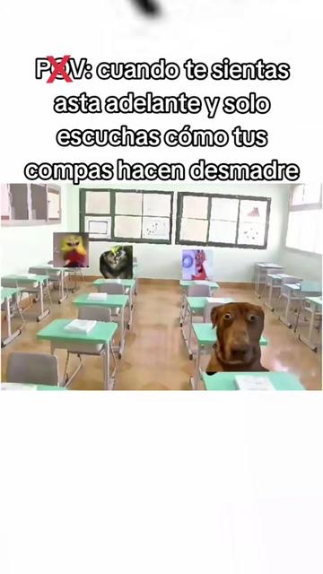 @🤷🏻♂️axeliño_777🤷🏻♂️