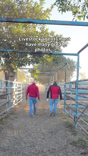@Elders Rural Services