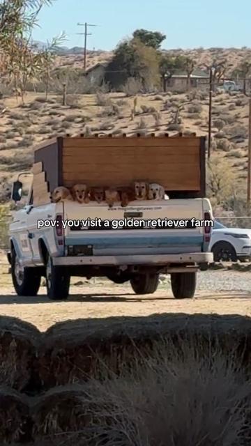@Phuong Tran