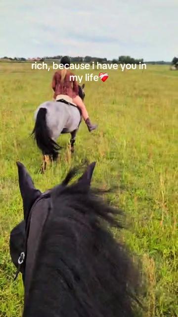 @leannesponyteam