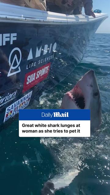@Daily Mail