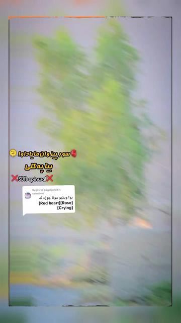 @༼ ❌↗ 𝙎𝘿𝙍.spinwal ↖ ༽❌