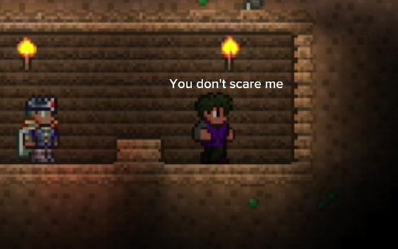 @terraria Mateusz