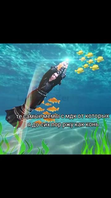 @꫶၇ᰰ 𝔏𝑎𝑛 ℌuā ✧ׅ͡ 𝂅 ͜༬ ʾ
