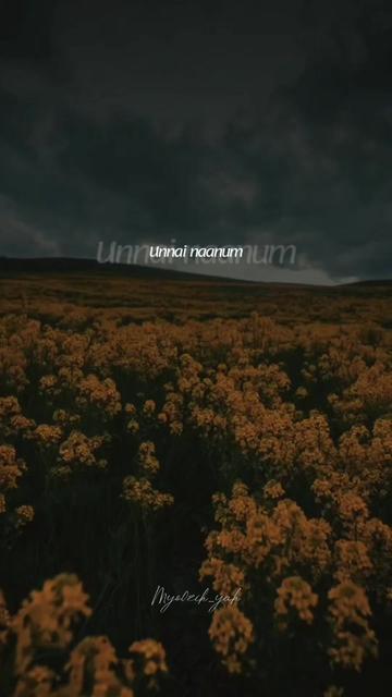 @ꪑꪗꪮ੦ɀỉƙ_ꪗꪖƙ ♪♫♬ 🧬