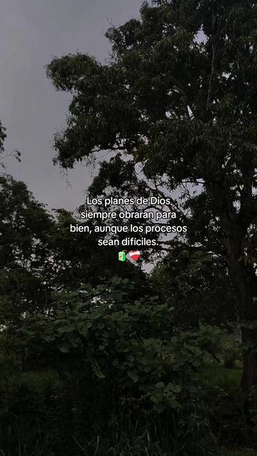@Linda Cardona 🪼🪐