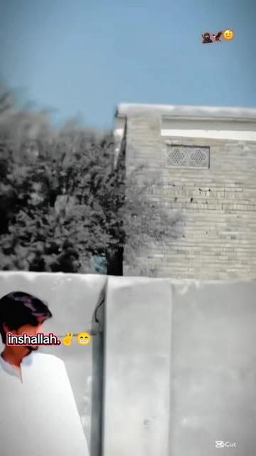 @کنگ نازک 🙌🖤
