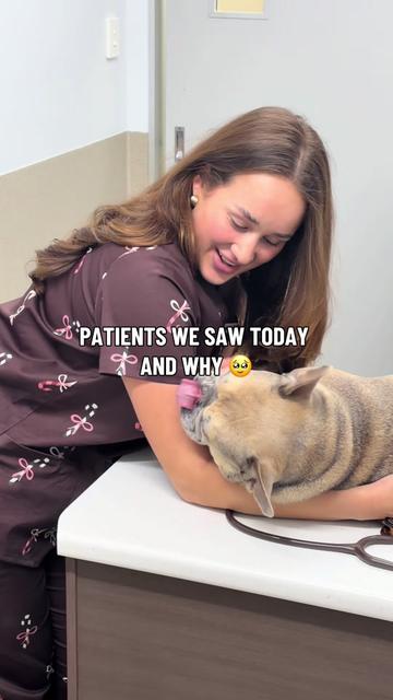 @James Street Vet