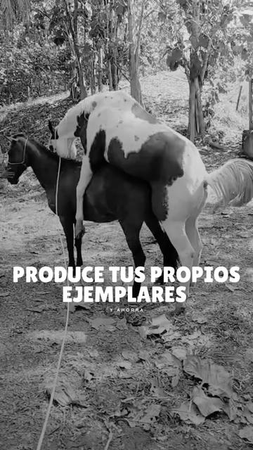 @Rehagronegocios