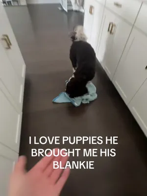 @lindsey ⋆˚꩜。
