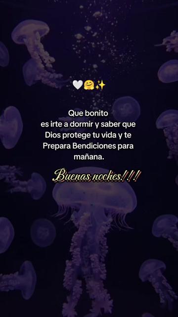 @Linda Cardona 🪼🪐