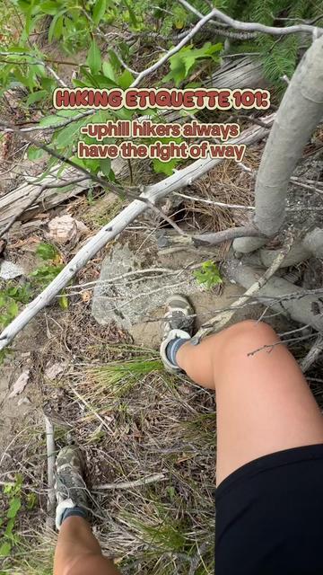 @GoodTreesBadKnees🌲