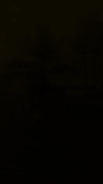 @Marcel_