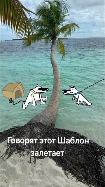@Legenda050404