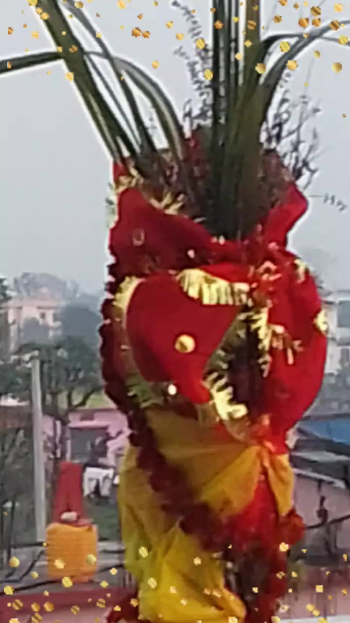 @Sita Rawal