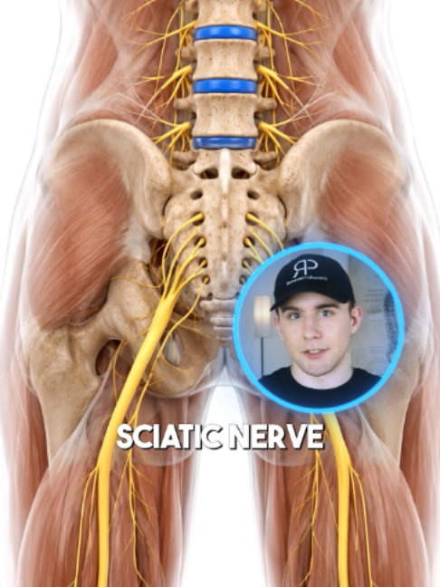 @Recover Pain