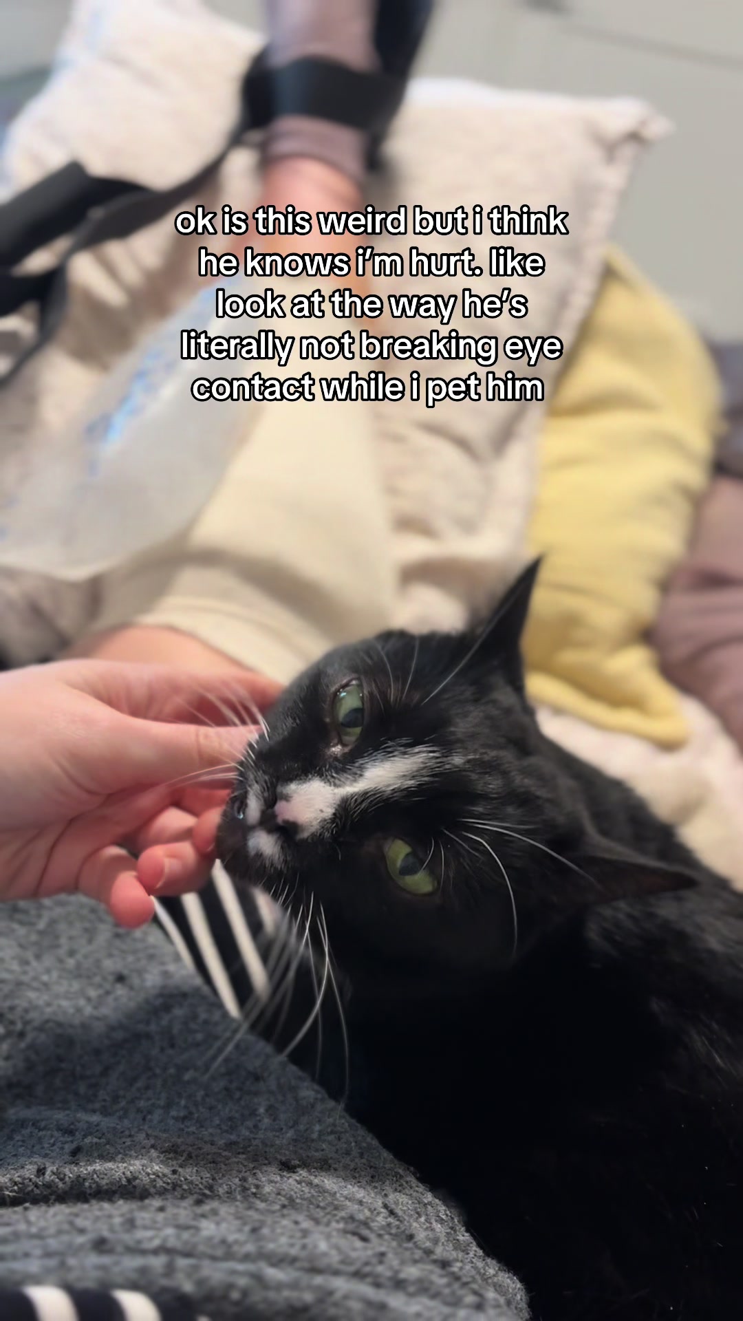 @Chester and Humans