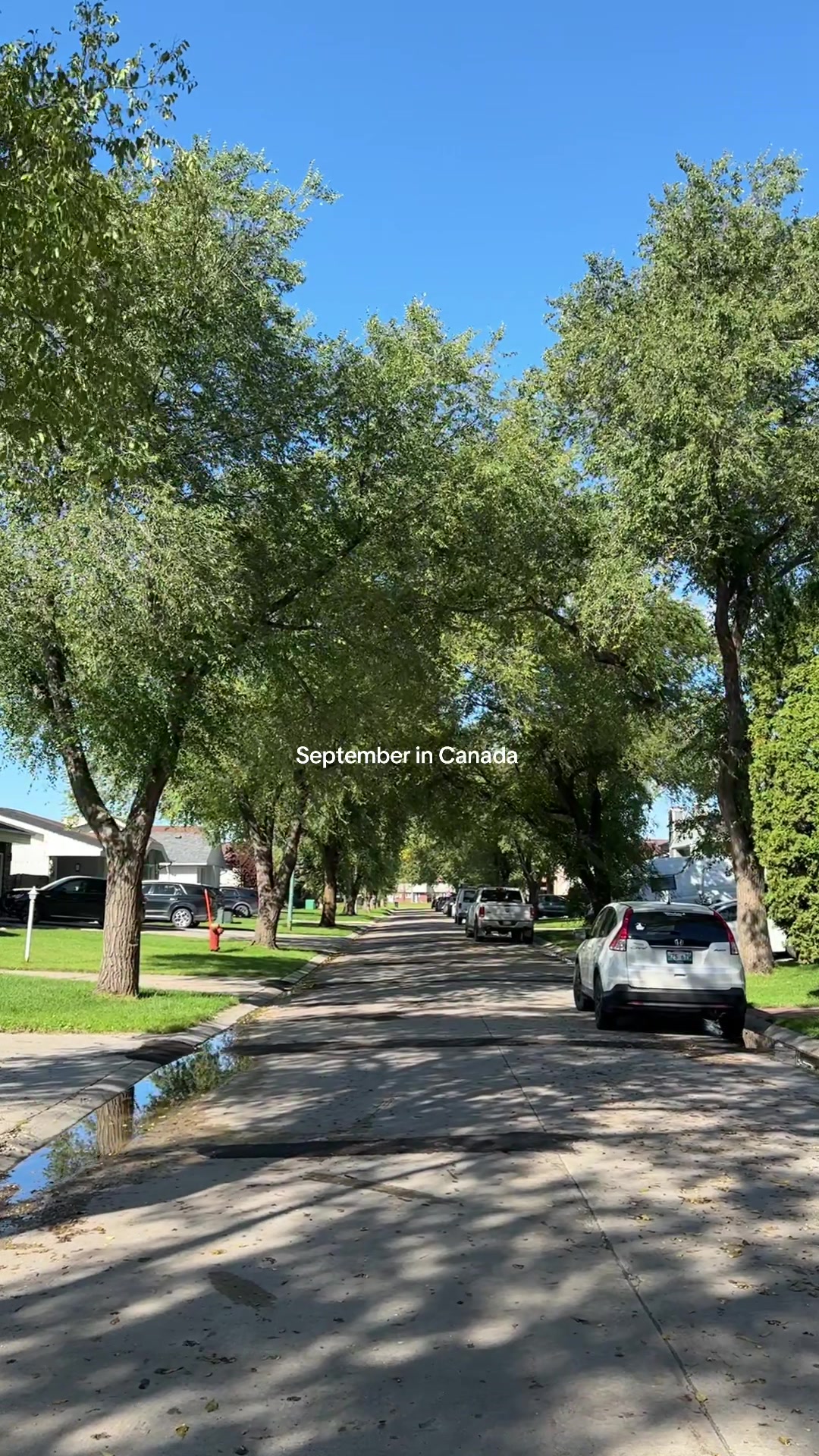 @MYLA🦅
