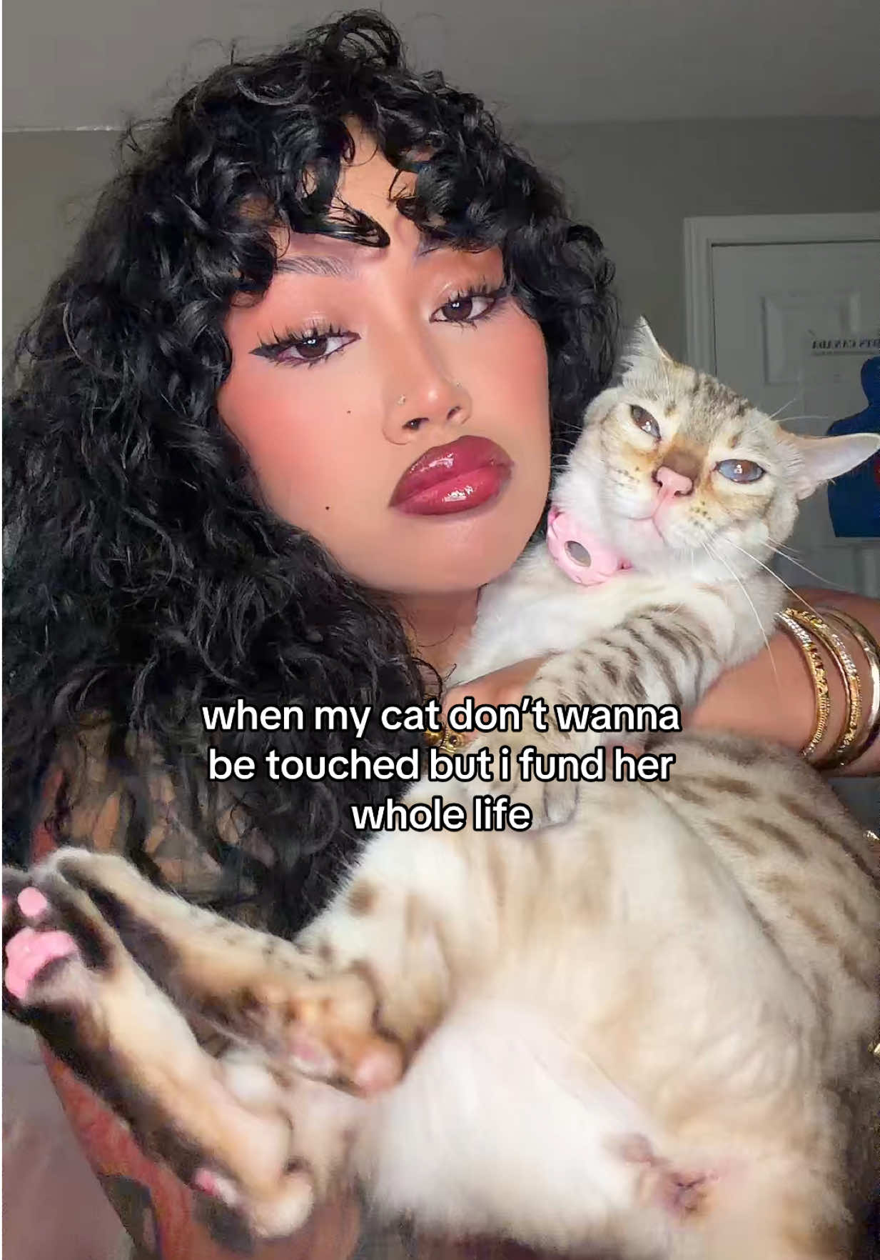 @Mirajane The Bengal🐾