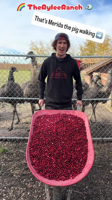 @RyleeRanch