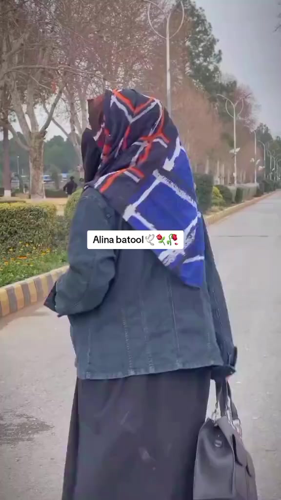 @Alina batool💔🕊🕊❣️