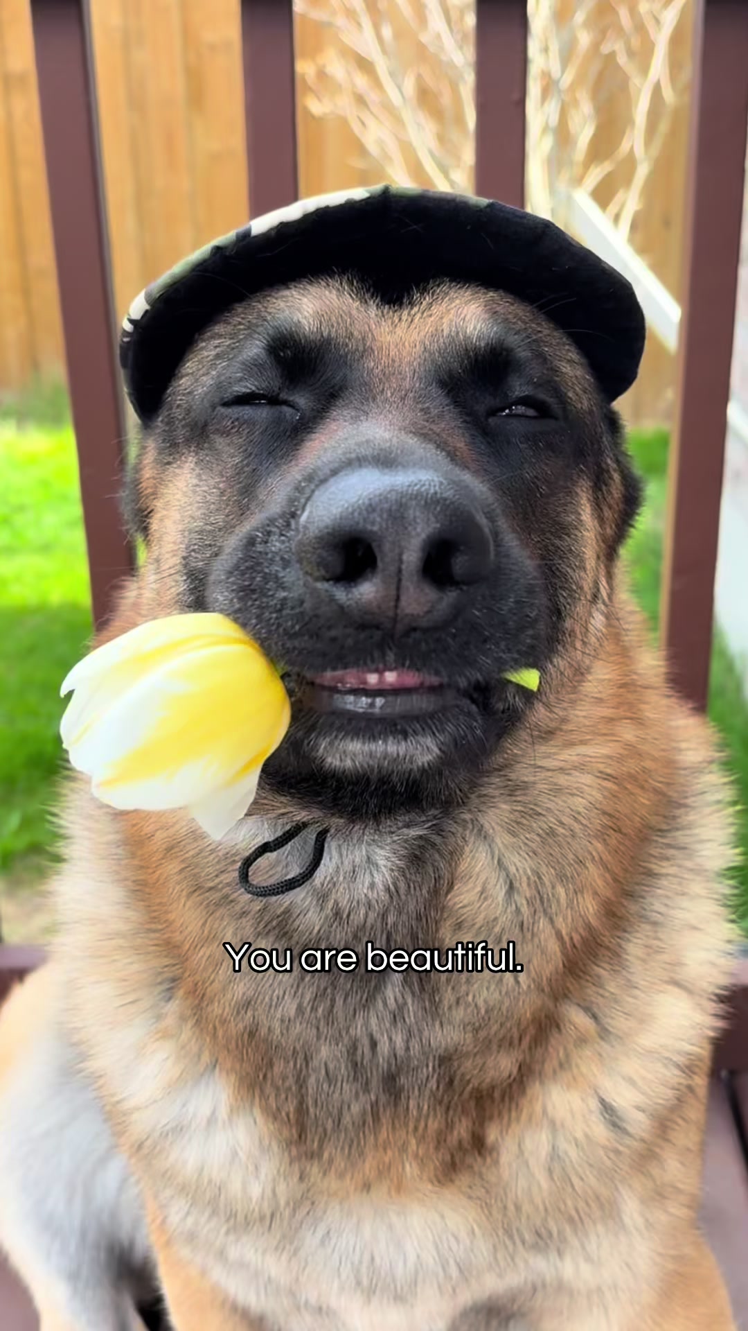 @Martygsd