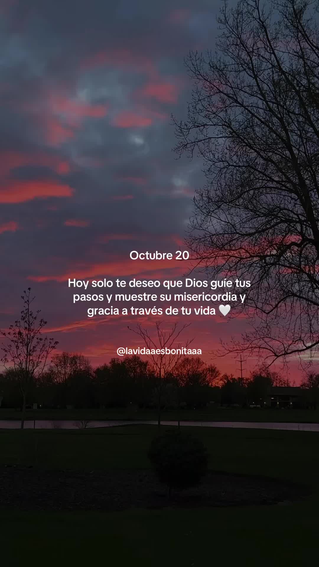 @vidabonita❤️🩹