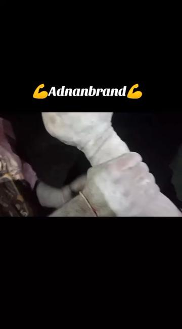 @Adnan ali brand👑💪🏆