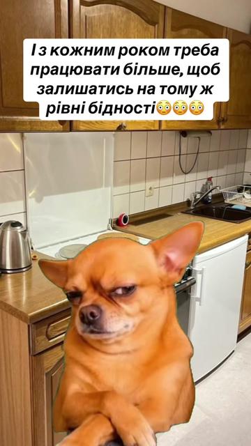 @🌻_Anzhela_🌾