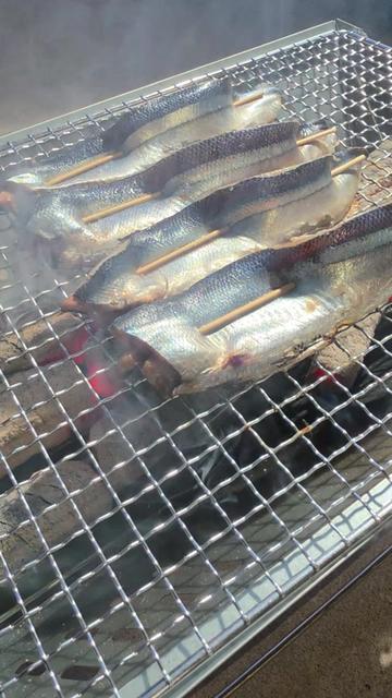 @セイゴ水産