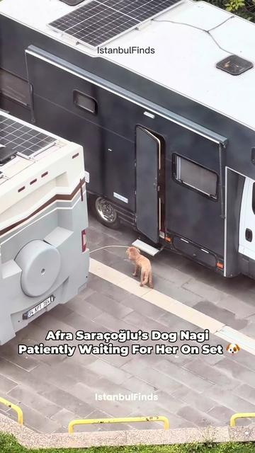 @IstanbulFinds🇹🇷