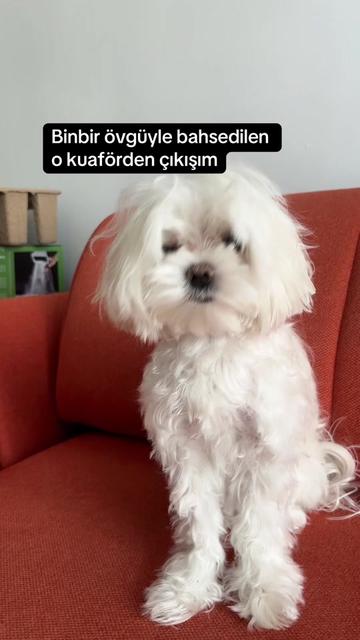 @nurrrr