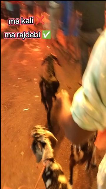 @Mandal Bhai 8848