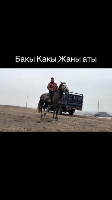 @Oskonbai Tajibaev