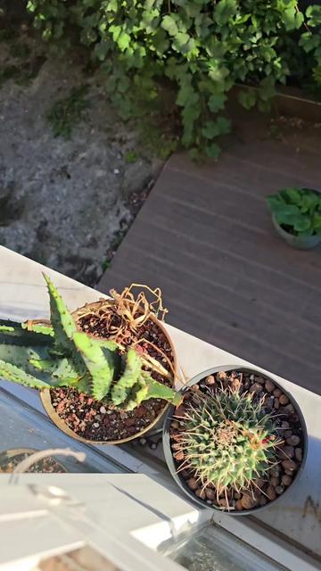@ilker &Ouml;rkmez