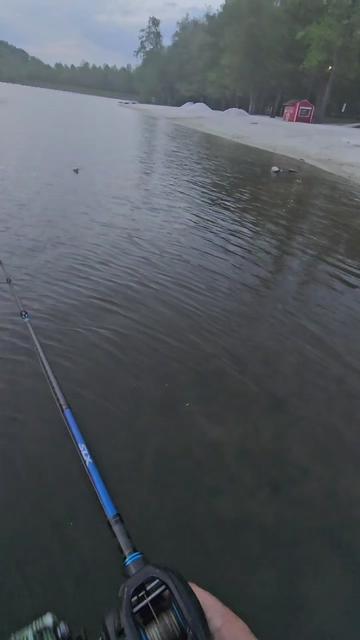 @SP_The_Ned_Master