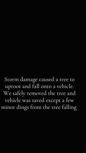 @Superior Lawn and Tree