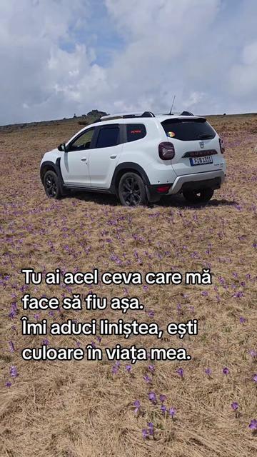 @ionuthabuc_duster_fan