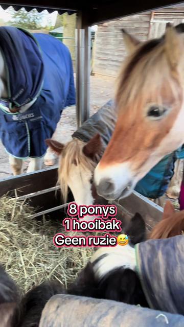 @Syrche Cordewener