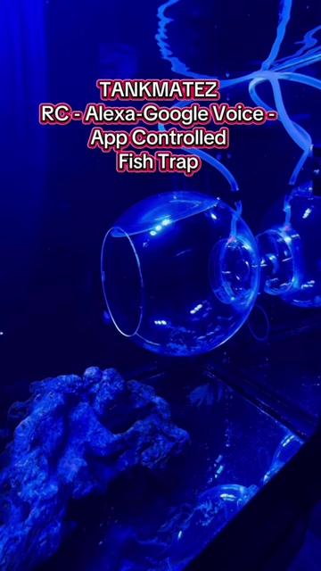 @Tankmatez.com USA