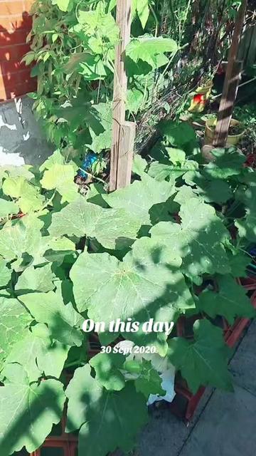 @Raj kumar_1