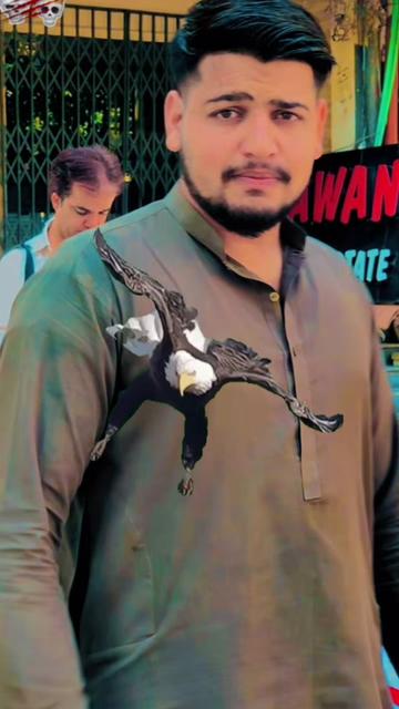 @Sami Nawabi