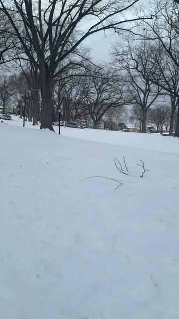 @Melva23