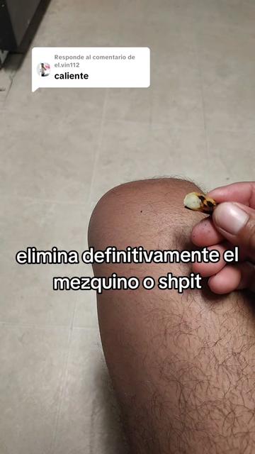 @JerBer
