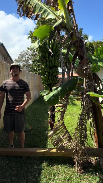 @will.harvest