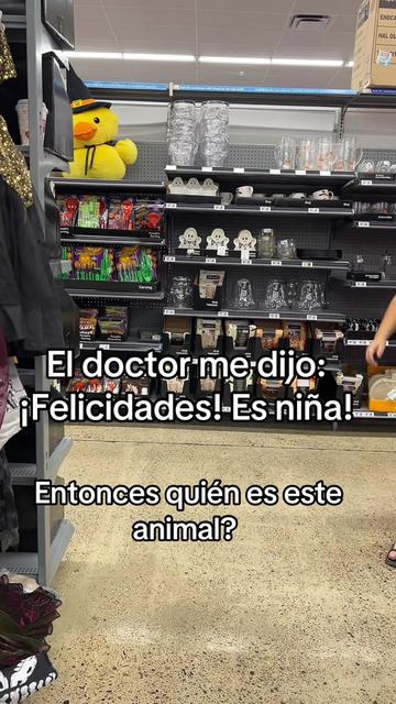 @โจ๐ฑ๐๐๐ ๐๐๐๐พ๐๐โจ