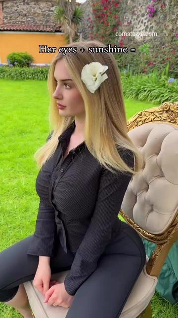 @tiktok hub
