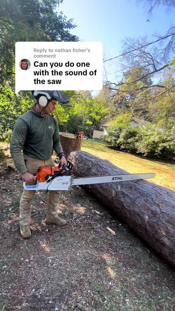 @The Tree Assassins